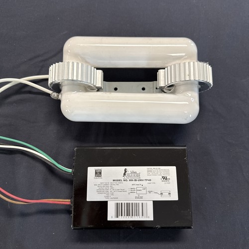 Watt induction - 40, (120-277v)